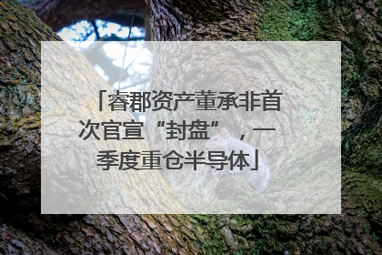 睿郡资产董承非首次官宣“封盘”，一季度重仓半导体