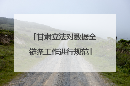 甘肃立法对数据全链条工作进行规范