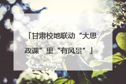 甘肃校地联动“大思政课”里“有风景”