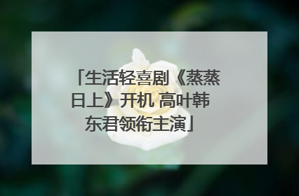 生活轻喜剧《蒸蒸日上》开机 高叶韩东君领衔主演