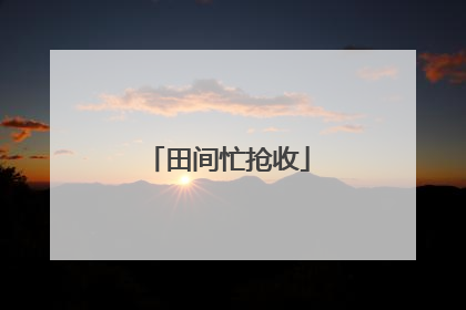 田间忙抢收