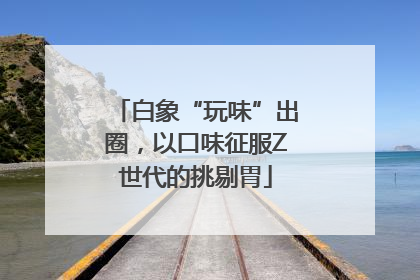 白象“玩味”出圈，以口味征服Z世代的挑剔胃