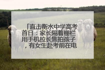 直击衡水中学高考首日：家长隔着栅栏用手机拉长焦拍孩子，有女生赴考前在电话亭与家人通话