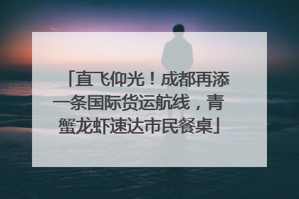 直飞仰光！成都再添一条国际货运航线，青蟹龙虾速达市民餐桌