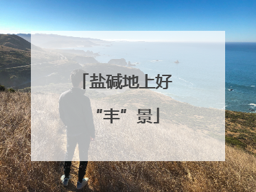 盐碱地上好“丰”景