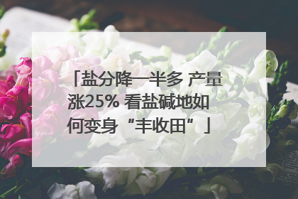 盐分降一半多 产量涨25% 看盐碱地如何变身“丰收田”