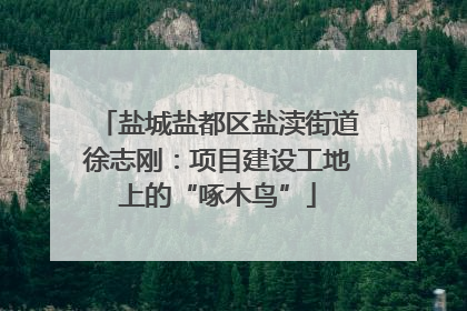盐城盐都区盐渎街道徐志刚：项目建设工地上的“啄木鸟”