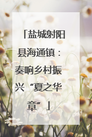 盐城射阳县海通镇：奏响乡村振兴“夏之华章”