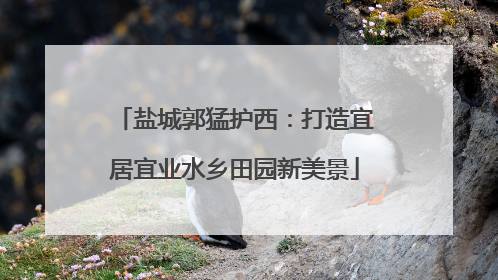 盐城郭猛护西：打造宜居宜业水乡田园新美景