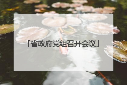省政府党组召开会议