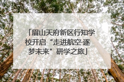 眉山天府新区行知学校开启“走进航空·逐梦未来”研学之旅