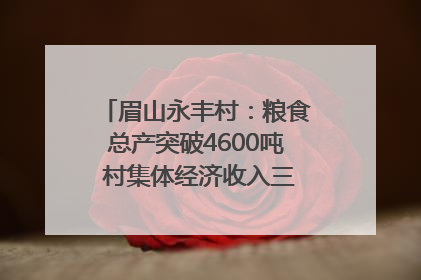 眉山永丰村：粮食总产突破4600吨 村集体经济收入三年倍增｜牵挂的村