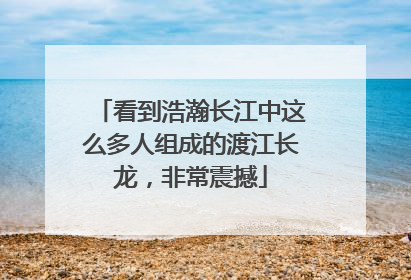 看到浩瀚长江中这么多人组成的渡江长龙，非常震撼