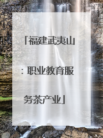 福建武夷山：职业教育服务茶产业