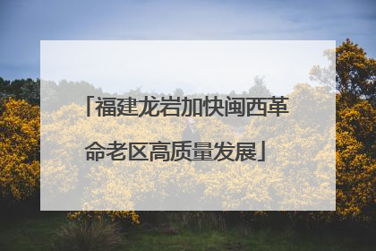 福建龙岩加快闽西革命老区高质量发展