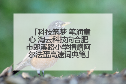 科技筑梦 笔润童心 淘云科技向合肥市郎溪路小学捐赠阿尔法蛋高速词典笔