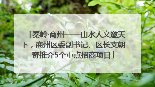 秦岭·商州——山水人文邀天下，商州区委副书记、区长支朝奇推介5个重点招商项目