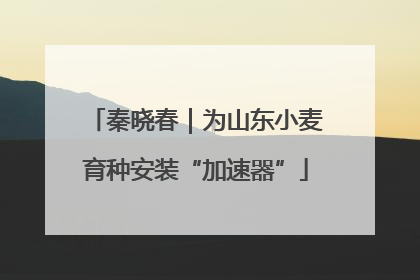 秦晓春｜为山东小麦育种安装“加速器”