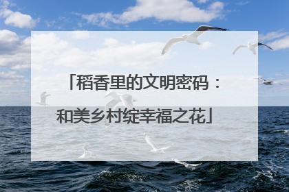 稻香里的文明密码：和美乡村绽幸福之花