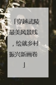 穿越武陵最美风景线，绘就乡村振兴新画卷
