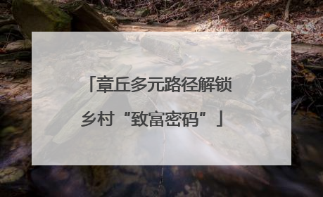 章丘多元路径解锁乡村“致富密码”