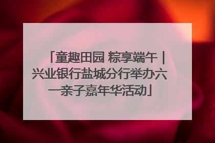 童趣田园 粽享端午｜兴业银行盐城分行举办六一亲子嘉年华活动
