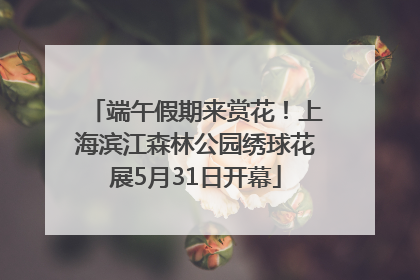 端午假期来赏花！上海滨江森林公园绣球花展5月31日开幕