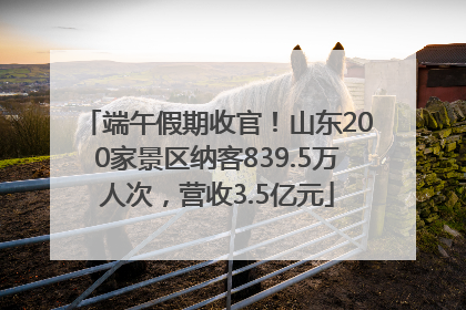 端午假期收官！山东200家景区纳客839.5万人次，营收3.5亿元