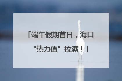 端午假期首日，海口“热力值”拉满！