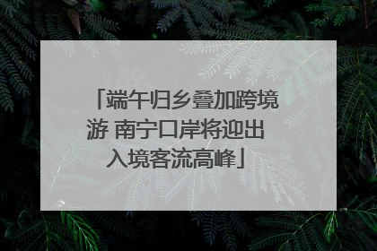 端午归乡叠加跨境游 南宁口岸将迎出入境客流高峰