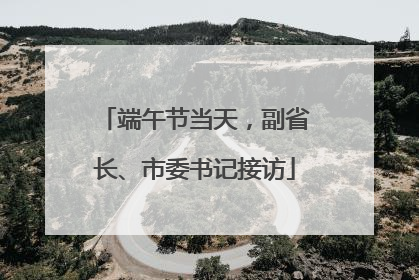 端午节当天，副省长、市委书记接访