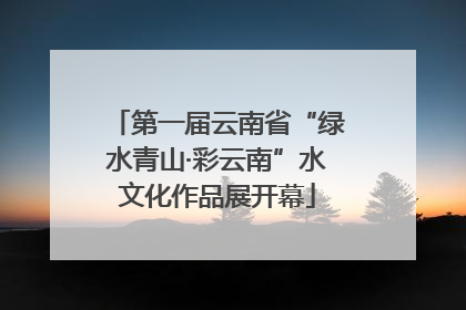 第一届云南省“绿水青山·彩云南”水文化作品展开幕