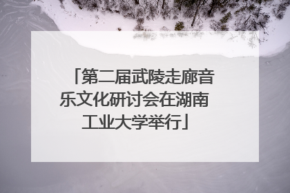 第二届武陵走廊音乐文化研讨会在湖南工业大学举行