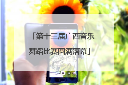 第十三届广西音乐舞蹈比赛圆满落幕