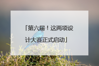 第六届！这两项设计大赛正式启动