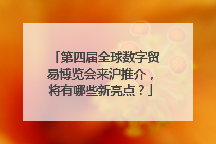 第四届全球数字贸易博览会来沪推介，将有哪些新亮点？