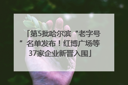 第5批哈尔滨“老字号”名单发布！红博广场等37家企业新晋入围