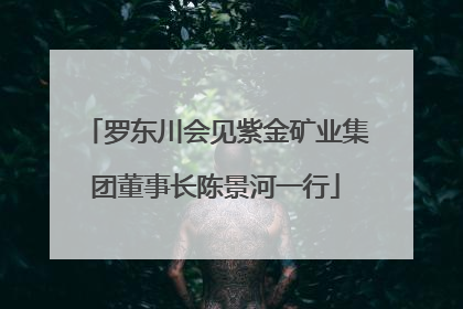 罗东川会见紫金矿业集团董事长陈景河一行