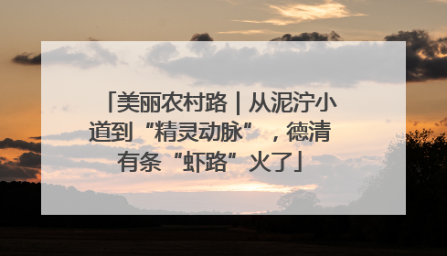 美丽农村路｜从泥泞小道到“精灵动脉”，德清有条“虾路”火了