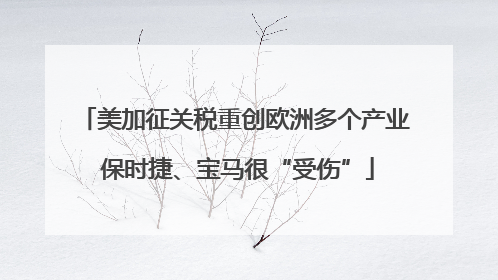 美加征关税重创欧洲多个产业 保时捷、宝马很“受伤”