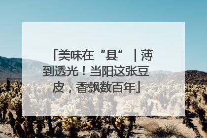 美味在“县”｜薄到透光！当阳这张豆皮，香飘数百年