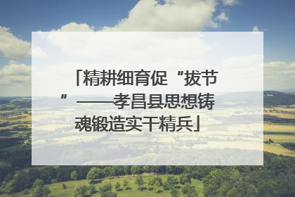 精耕细育促“拔节”——孝昌县思想铸魂锻造实干精兵