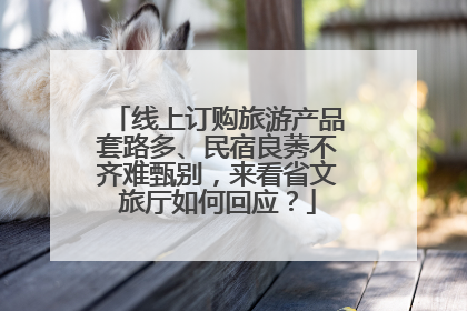 线上订购旅游产品套路多、民宿良莠不齐难甄别，来看省文旅厅如何回应？