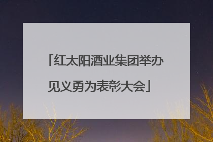 红太阳酒业集团举办见义勇为表彰大会