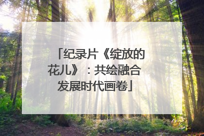 纪录片《绽放的花儿》：共绘融合发展时代画卷