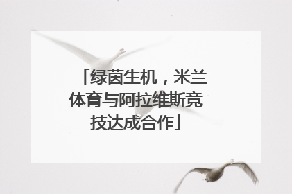 绿茵生机，米兰体育与阿拉维斯竞技达成合作