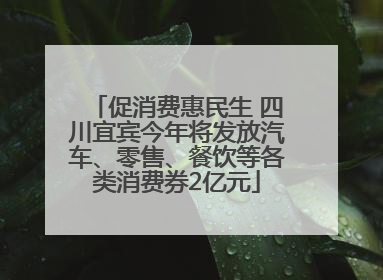 促消费惠民生 四川宜宾今年将发放汽车、零售、餐饮等各类消费券2亿元