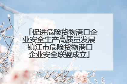 促进危险货物港口企业安全生产高质量发展 镇江市危险货物港口企业安全联盟成立