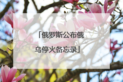 俄罗斯公布俄乌停火备忘录