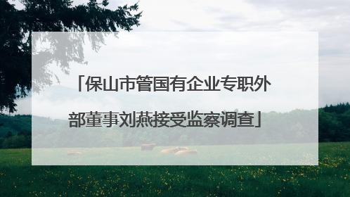 保山市管国有企业专职外部董事刘燕接受监察调查